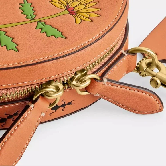 NWT💃Coach Coach X Observed By Us Heart Crossbody Bag - Picture 11 of 15